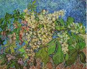 White Flowers with Blue Background Vincent Van Gogh